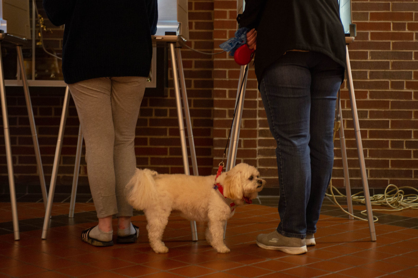 Election Day voting, 11/6